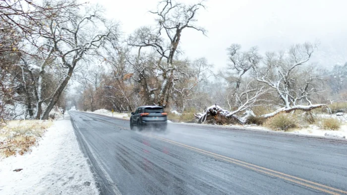 Adaptive Cruise Control in Snow and Ice