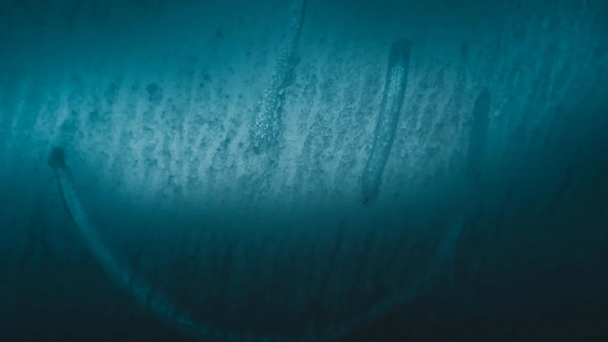 Condensation Inside a Backup or ADAS Camera