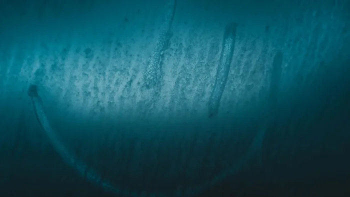 Condensation Inside a Backup or ADAS Camera